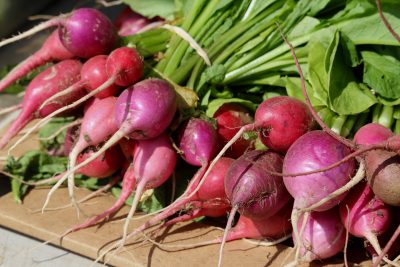 radishes at a farm stand