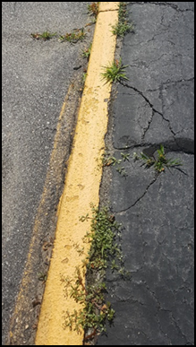 Road with cracks and yellow stripe