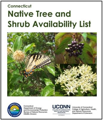 CT Native Plant Availability List from UConn and CTDEEP updated in May2023