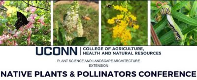UConn Native Plants and Pollinators Conference, November 13, 2025