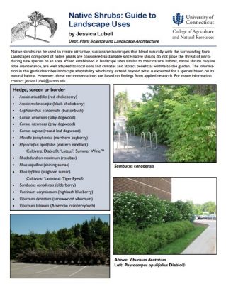 Native Shrubs: Guide to Landscape Uses by J. Lubell 