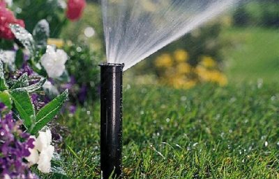 Irrigation head spraying water