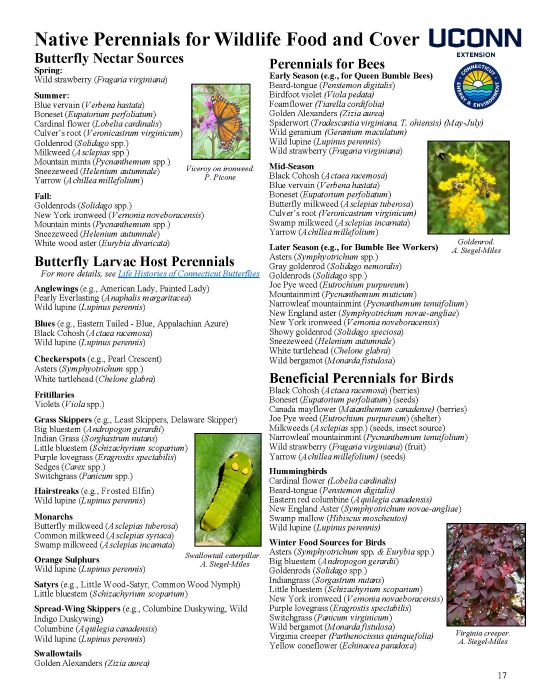 Information on Native Perennials for Wildlife Food and Cover. Full page available in pdf link embedded in image.