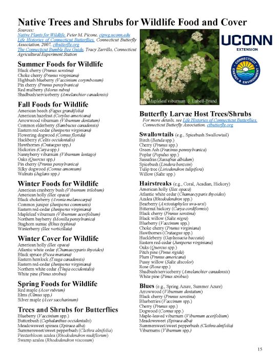 image of Native Trees and Shrubs for Wildlife Food and Cover info page. Full page available in pdf version.