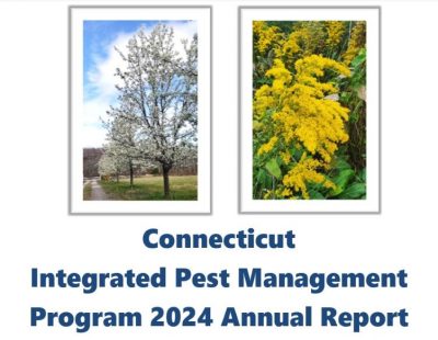 IPM report 2024 cover with photo of Callery pear and goldenrod flower. 