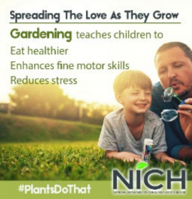 NICH gardening advertisement: "Spread the love as they grow: gardening teaches children to eat healthier, enhances fine motor skills, reduces stress". Child and parent blowing bubbles in front of field. 