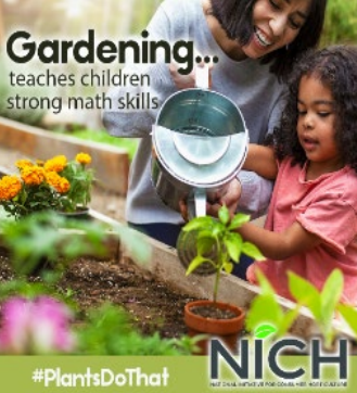 NICH Gardening Advertisement. Child watering plants with adult. "Gardening... teaches children strong math skills"