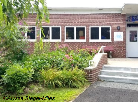 Landscaped area in front of school entrance. Photo by Alyssa Siegel-Miles