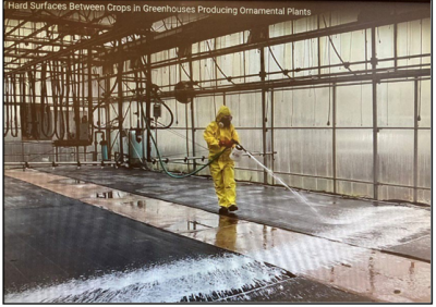 Greenhouse Worker using proper protective equipment (PPE) when applying a sanitizing agent when the greenhouses are empty.