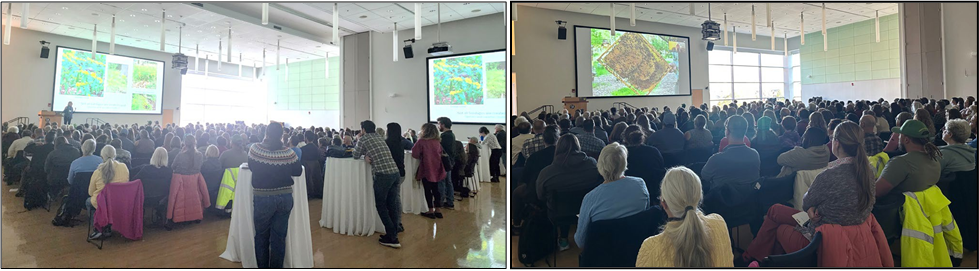 Attendees at the Native Plants and Pollinators Conference listen to the presentation by Nancy DuBrule- Clemente about plants for instant pollinator habitat (left). Photo by Alyssa Siegel-Miles. Participants learn about honeybee colonies, beekeeping, and garden design to support bees (right). Photo by Jessica Lubell-Brand.