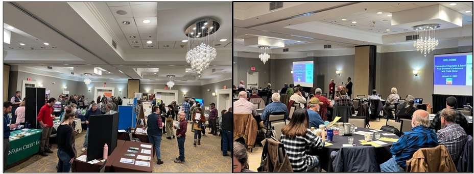 Participants at the 2023 UConn Extension’s Vegetable and Small Fruit Growers’ Conference and Tradeshow at Sheraton Hartford South in Rocky Hill, CT, on January 4, 2023. Photos by Shuresh Ghimire.