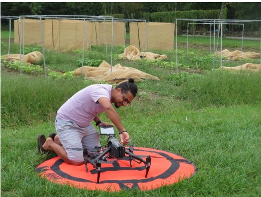 Bivek Bhusal setting up drone for flight over green bean plots infested with potato leafhoppers.Photo: Ana Legrand