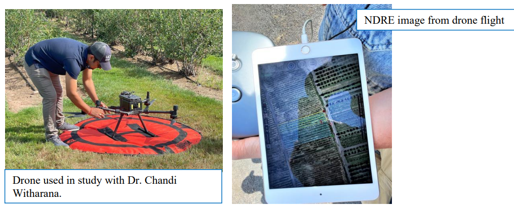 Drone used in study with Dr. Chandi Witharana