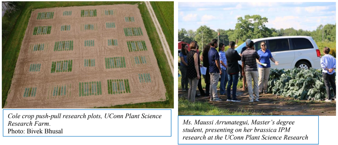 Left: UConn plant science research farm Right: Arrunategui, Master’s degree student, presenting on her brassica IPM research at the UConn Plant Science Research Farm. Photo: Ana Legrand 