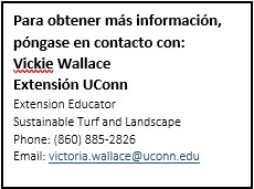 Actualizado en agosto de 2019