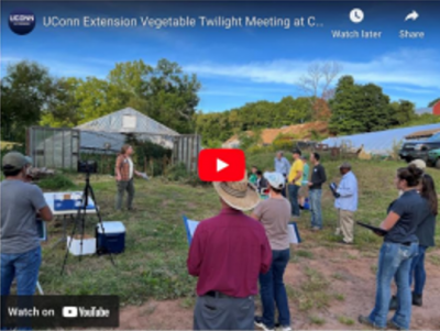 UConn Extension Vegetable Twilight Conference Video