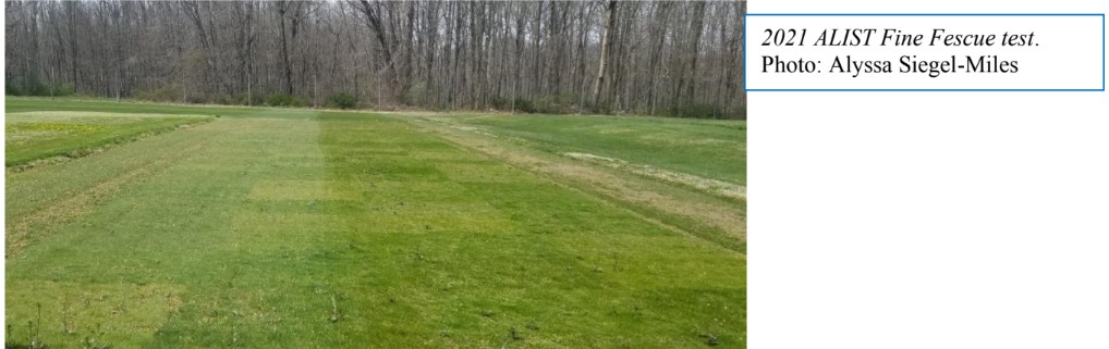 2021 ALIST Fine Fescue test.Photo: Alyssa Siegel-Miles