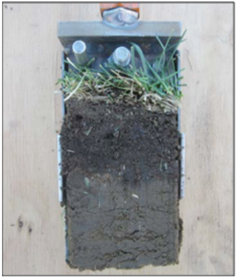 Figura 10. El topdressing con compostaje es extremademente dificil de incorperar al suelo existente. El tropdressing debe coincidir con una labranza agresiva con puas heucas para mezcler el compost tanto como sea posible con el suelo existene. Sin embargo, todavia es probable que se forme una capa de topdressing, como se vio anteriormente.