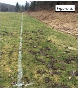 Figura 3. Daño por topos en un campo de fútbol de la escuela.