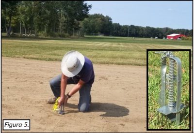 Figure 5. Setting a harpoon trap in an active mole tunnel at the UConn Turf Research Facility in Storrs, CT. Inset Photo Source: Alabama A & M.