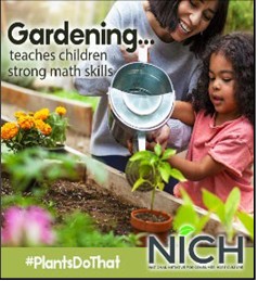 Images source: National Initiative for Consumer Horticulture(NICH) (consumerhort.org)