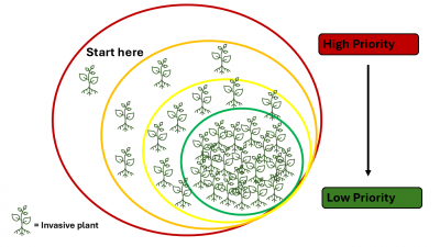 Fig 2. High and Low priority