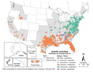 US Map