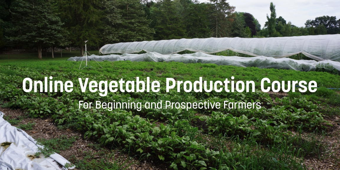 Text reads Online Vegetable Production Course for beginning and prospective farmers with field and high tunnel in the background