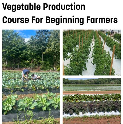 Text says Vegetable Production Course for Beginning Farmers with photos of vegetable fields
