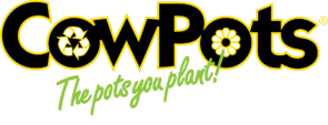 Cow Pots logo with black text outlined in yellow