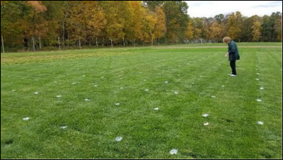 V. Wallace rates the NTEP turf research plots. Photo: Alyssa Siegel-Miles