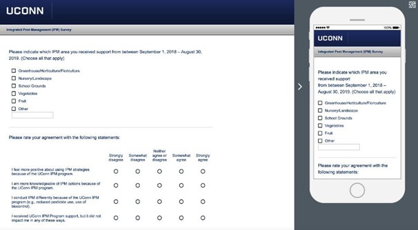 Screen shot of a survey
