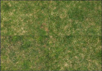 Four light box photos of turf plots to assess percent cover ratings 