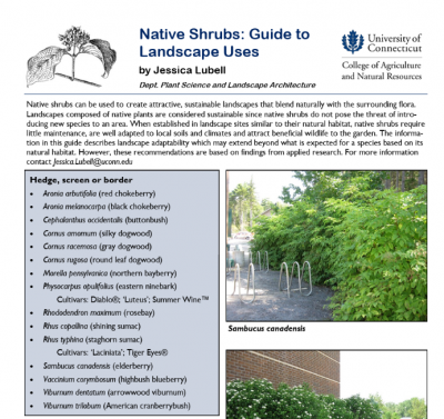 cover of Native Shrubs: Guide to Landscape Uses