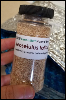 Figure 3. Beneficial predatory mites arrive in a bottle from a distributor, ready to be released. Photo by Alyssa Siegel-Miles.