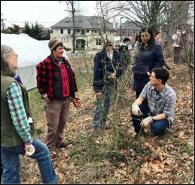 pruning workshop
