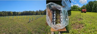 Establishment of the UConn Fruit IPM research and demonstration plot at the UConn PSLA Research Farm. 