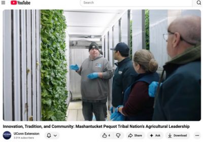 Photo. Screenshot of the YouTube video where A Tribal member, Jeremy Whipple, is consulting with UConn Extension educators about lettuce production in the Freight Farms units at Meechooôk Farm in Mashantucket, CT. 