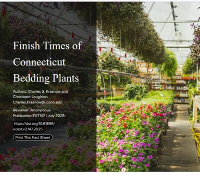 Cover page of the Finish Times of Connecticut Bedding Plants factsheet. Photo: C. Krasnow.