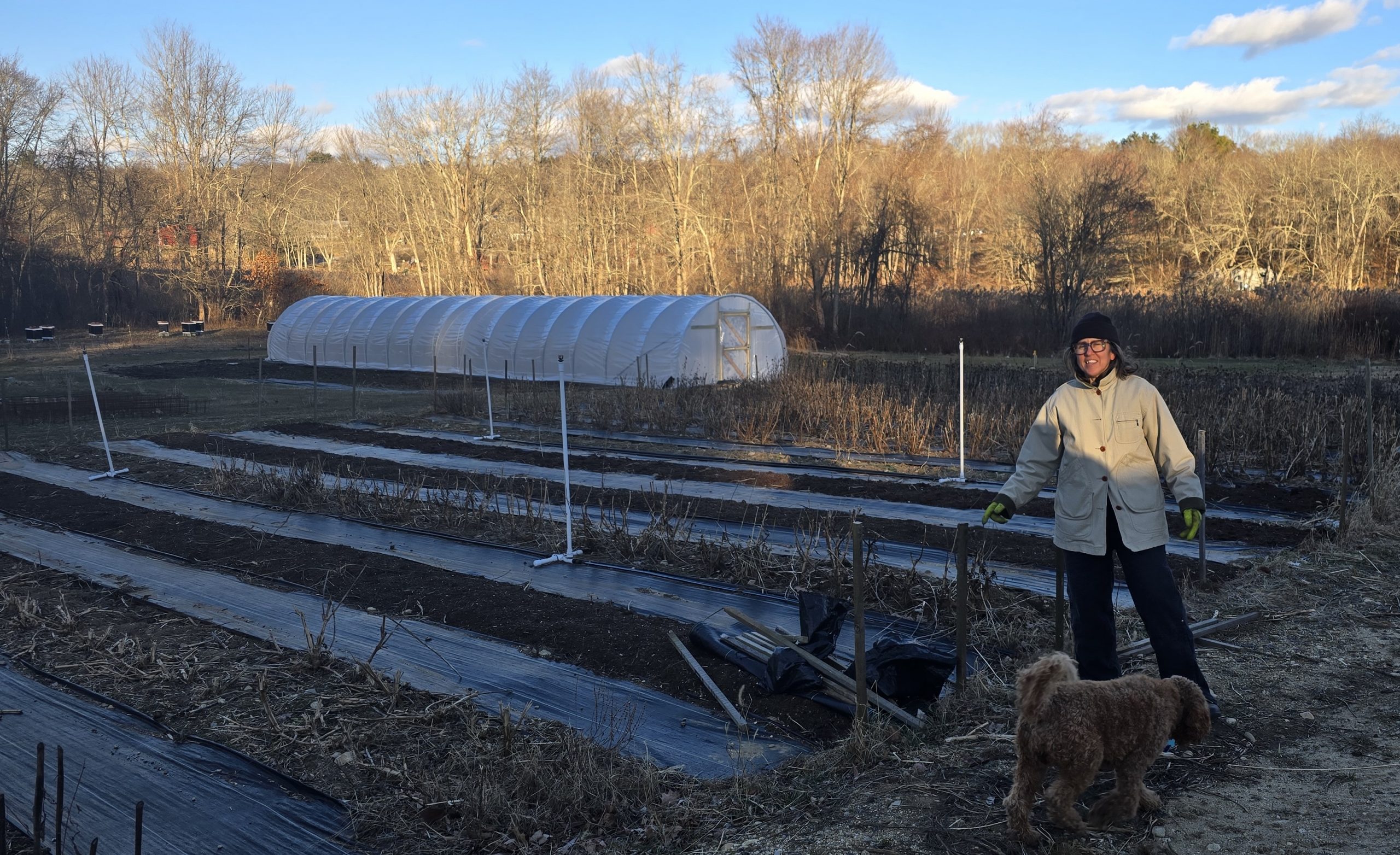 view of caterpillar tunnel with person and dog outside