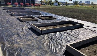 wooden raised beds built on plastic mulch