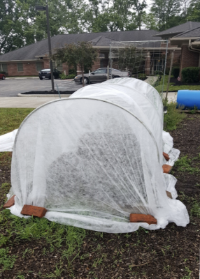 row cover secured with bricks around a raised bed