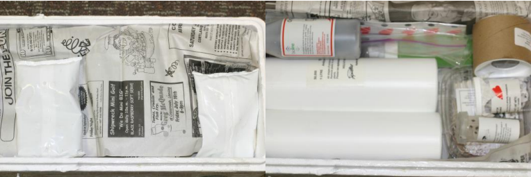 Figura 7 y 8: Un nuevo envío de agentes de control biológico. Fotos por L. Pundt