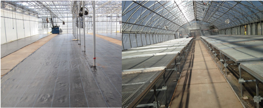 Figura 2: Un invernadero limpio y desinfectado entre temporadas de producción evitarámuchos problemas de plagas y enfermedades. Fotos por L. Pundt
