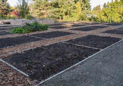 empty garden beds with bare soil and mulched pathways