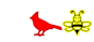 bees and birds