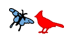 butterflies and birds