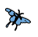 butterflies