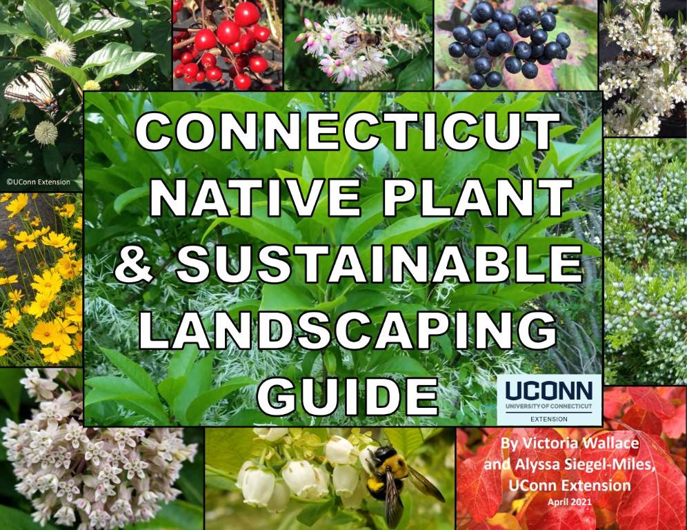 Connecticut Native Plant & Sustainable Landscaping Guide cover