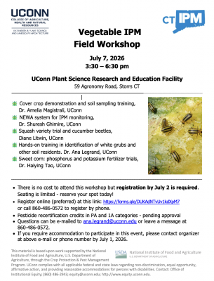 Vegetable IPM field day on July 7th, 2026 from 3:30pm-6:30pm at UConn Plant Science Research and Education Facility. Flyer with additional details and registration link